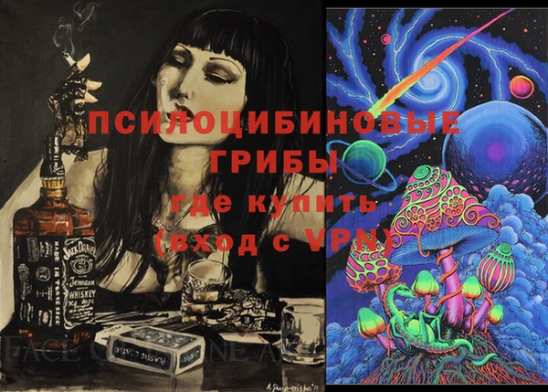 2c-b Гусиноозёрск