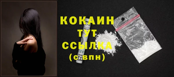 ECSTASY Гусев