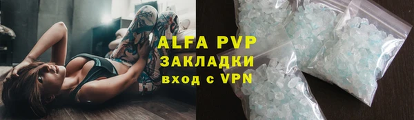 ECSTASY Гусев