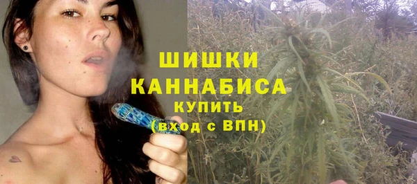 ECSTASY Гусев