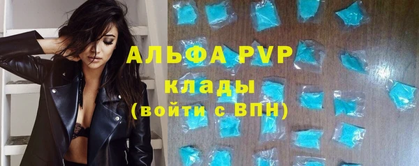 ECSTASY Гусев