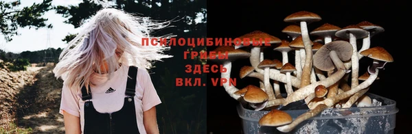COCAINE Гусь-Хрустальный