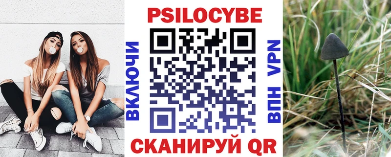 Псилоцибиновые грибы GOLDEN TEACHER  Купить  Кондрово 